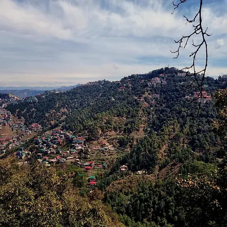 A1 B&B Shimla Exterior photo