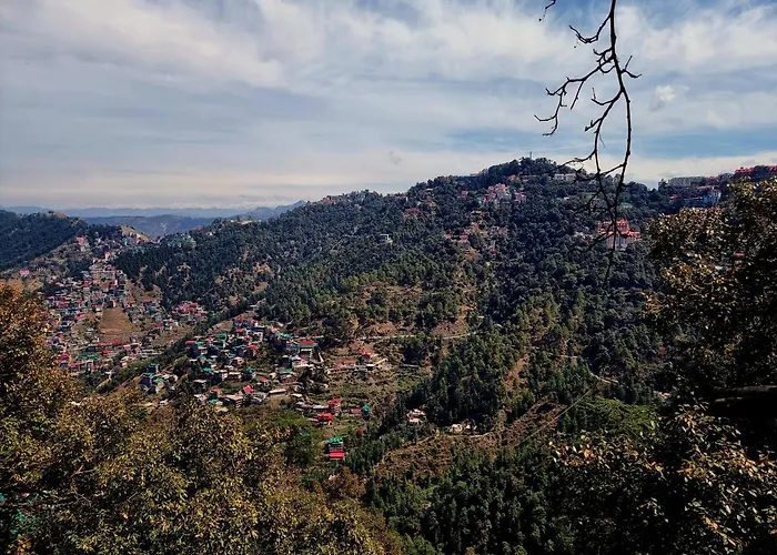 A1 B&B Shimla